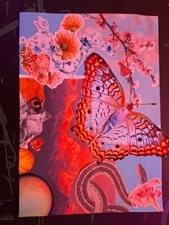 Schnitt, Kleb & Schimmer