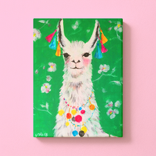 No Drama Lama