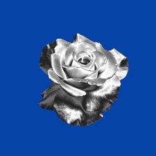 Der Rosenkavalier