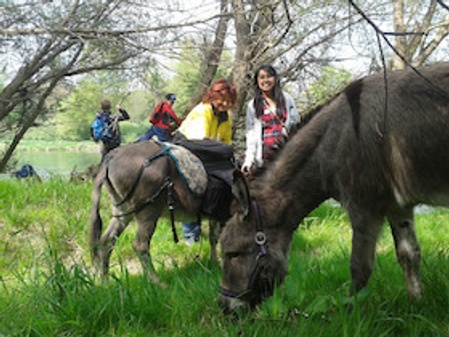 Eselwanderung & Wildkräuterführung mit Oliver Haury