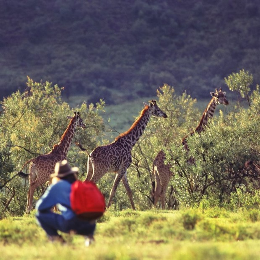 Titelbild der Veranstaltung Südafrika - Durch Weite und Wildnis