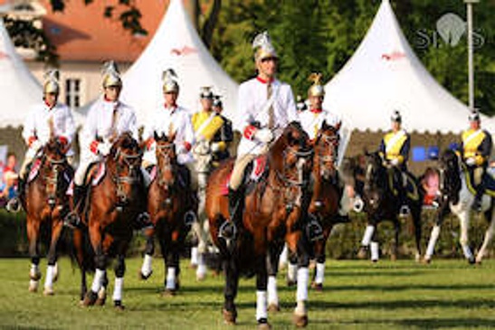 Neustädter Hengstparade 2026