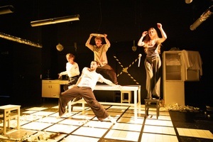 Karaluchy / Kakerlaken