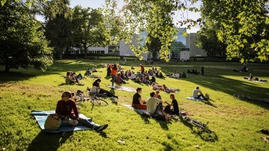 Park Sounds