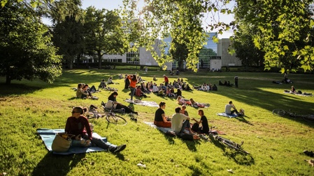 Park Sounds