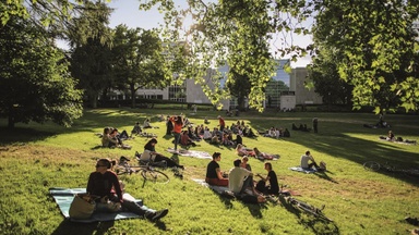 Park Sounds 4