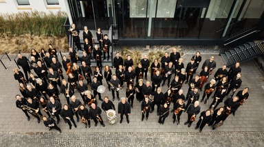 Next Level - Laura Lootens: Schubert’s Guitar