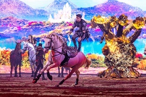 CAVALLUNA - Die Farben des Lebens