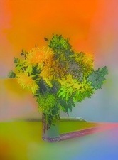 Ikebana – Japanische Kunst des Blumensteckens