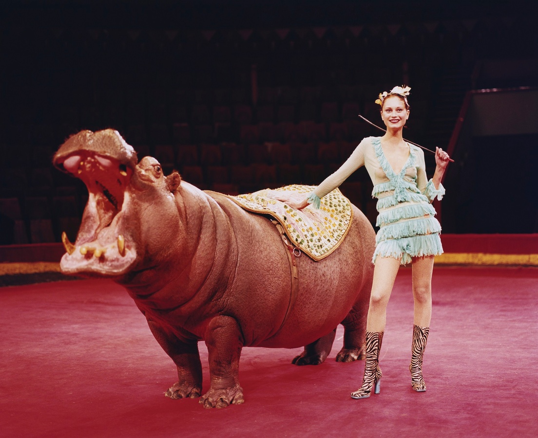 Titelbild der Veranstaltung Die Nashörner