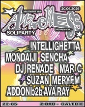 Awareness Soliparty