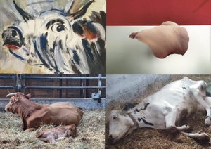 Kühe sehen – meet your meat – Künstler:innengespräch