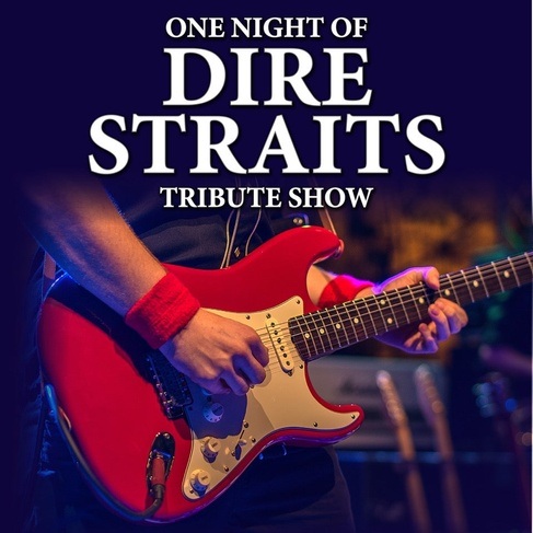ONE NIGHT OF DIRE STRAITS