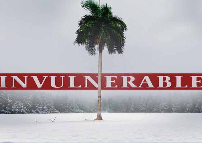 INVULNERABLE
