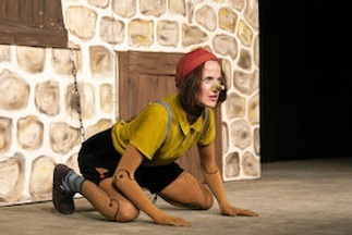 Die Abenteuer des Pinocchio