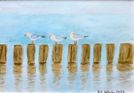 Vernissage: Küsten – Impressionen und mehr