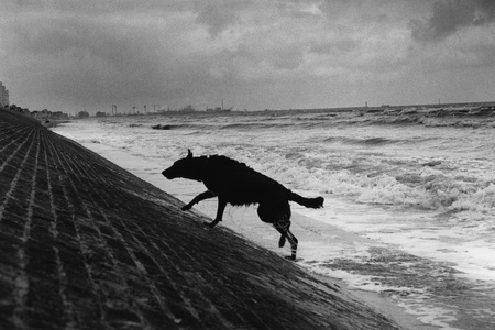 Der blinde Passagier