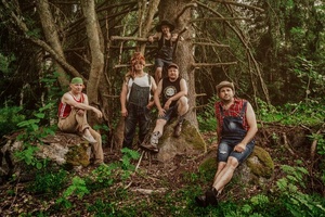 Steve 'n' Seagulls