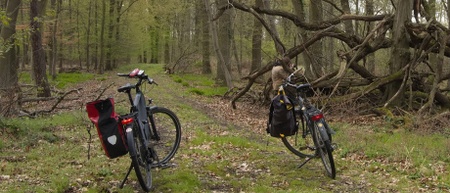 Vulkanologische Radtour am Laacher See