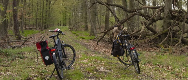 Vulkanologische Radtour am Laacher See
