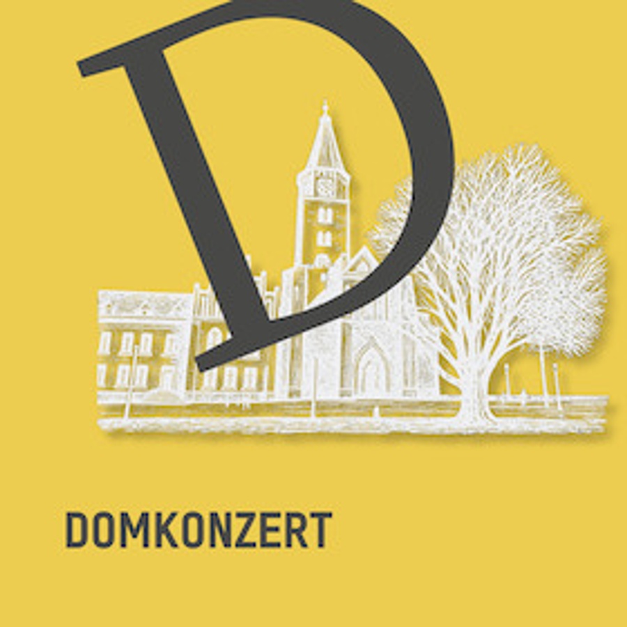Titelbild der Veranstaltung Domkonzert