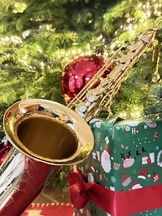 Bigband Champaign