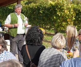 SummerWine im Bad Krozinger Rebberg