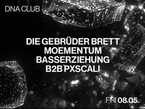 DIE GEBRÜDER BRETT, MOEMENTUM, BASSERZIEHUNG B2B PXSCALI