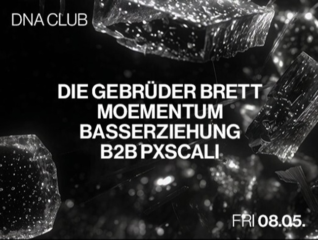 DIE GEBRÜDER BRETT, MOEMENTUM, BASSERZIEHUNG B2B PXSCALI