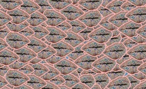 Tülvistas: Zuckerwatte in Echt