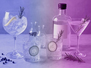 Gin-Tasting "New Spirits"