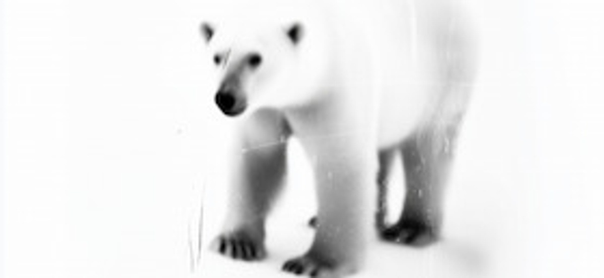 Songs of Whales and Wanting