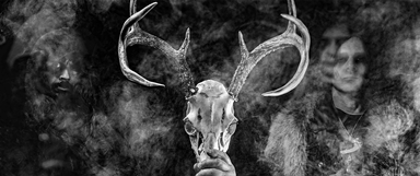 Wolves in the Throne Room