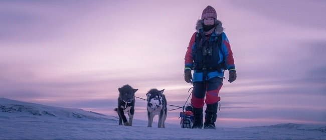 Reise-Vortrag: Grönland