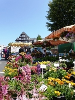 Erlebnis Wochenmarkt