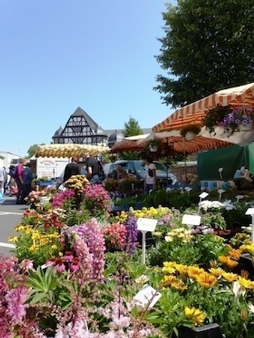 Erlebnis Wochenmarkt