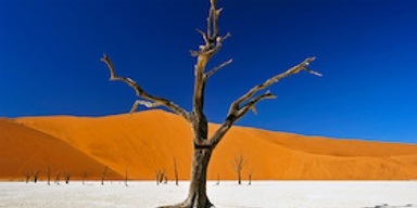 PLANETVIEW präsentiert: Namibia & Botswana