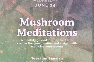 Mushroom Meditations: A guided journey for Earth connection and imagination