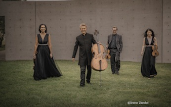 Minguet Quartett