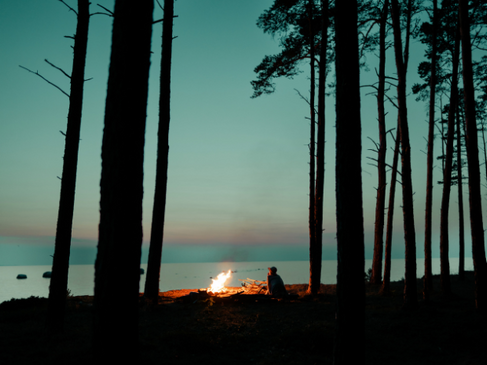 Estland  - Wald, Meer und Abenteuer