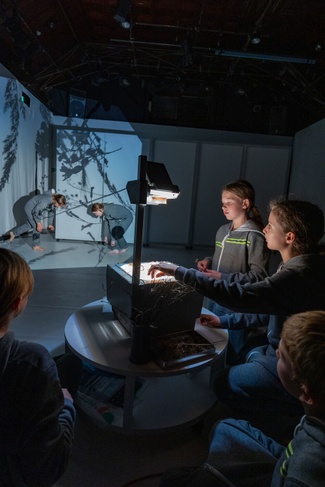 Als die Großen den Wald zerstörten