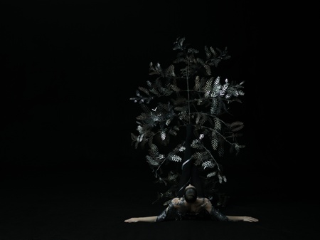 Staatliche Ballett- und Artistikschule