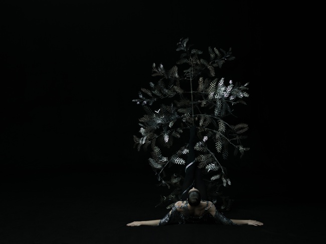 Staatliche Ballett- und Artistikschule