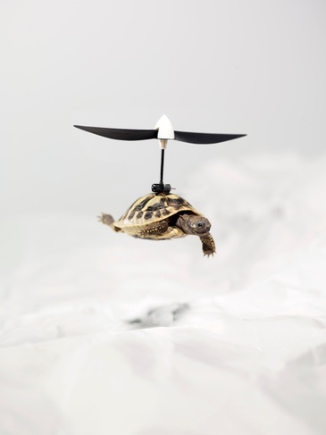 Glaube Liebe Roboter