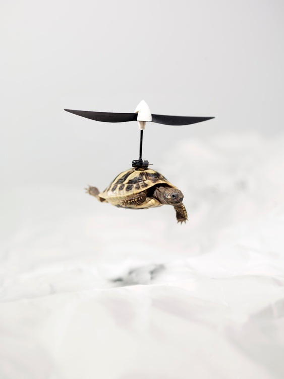 Glaube Liebe Roboter