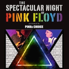The Spectacular Night of Pink Floyd