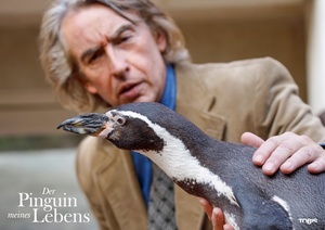 Der Pinguin meines Lebens
