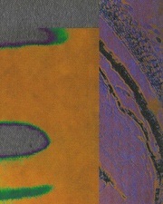 BLITZ w/ Alice, Francesco Del Garda, Ryan Elliott, vince.