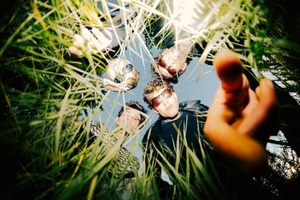 NIKITA CURTIS
Support: BLEACH TV