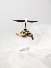 Glaube Liebe Roboter